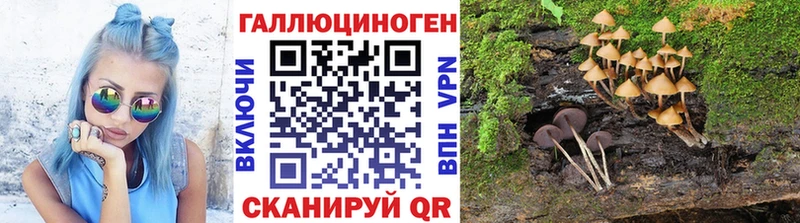 нарко площадка клад  Вытегра  Псилоцибиновые грибы MAGIC MUSHROOMS  KRAKEN ТОР 